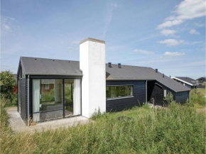 Three-Bedroom Holiday Home in Hjorring